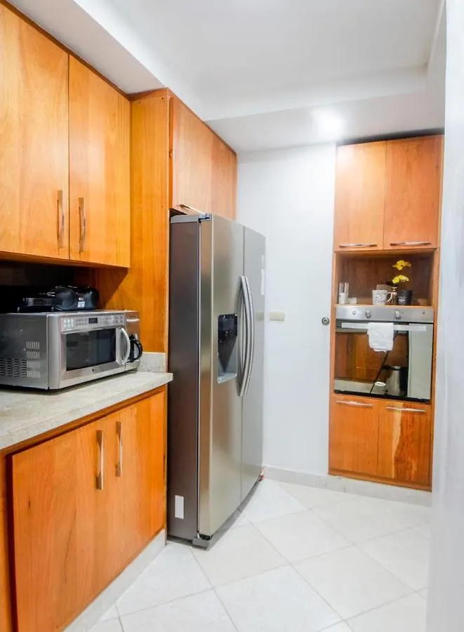 Modern Apartment In Santiago De Los Caballeros