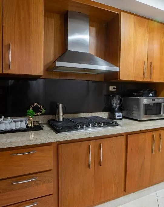 Modern Apartment In Santiago De Los Caballeros